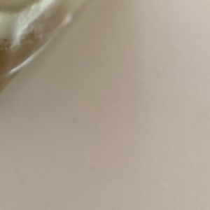 Meet your Posher, Giselle